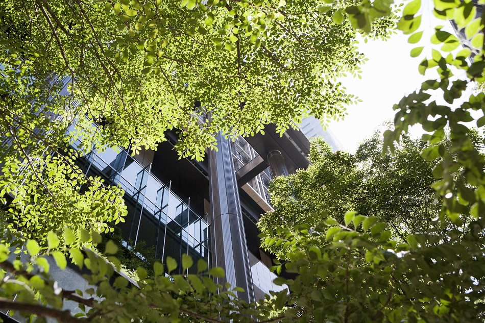 A view of the office building through green trees in front.