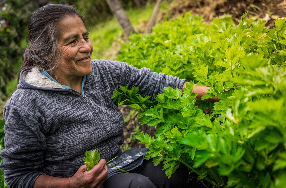 Foto_Contactar 1_señora en el campo