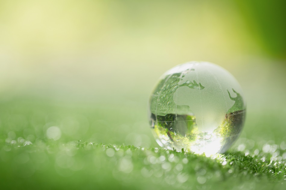 Close up of crystal globe resting on grass in a forest - environ