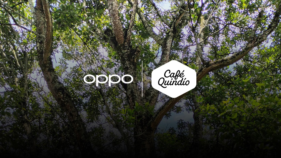 Foto alianza OPPO - Café Quindío