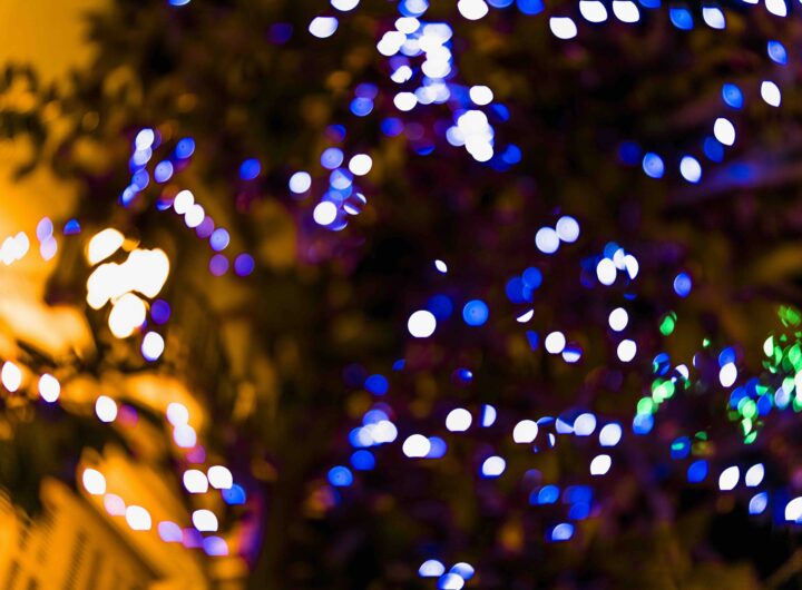 close-up-defocused-fairy-light-tree